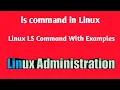 ls command in linux with example