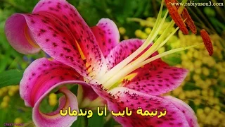 تايب انا وندمان دندنها