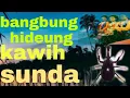 Download Lagu bangbung hideung lirik + artinya