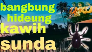 bangbung hideung lirik artinya