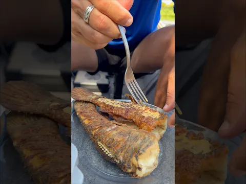 ESSE PEIXE É MUITO BOM! 🔥😋 #pescaria #johnnyhoffmannoficial #pescaesportiva
