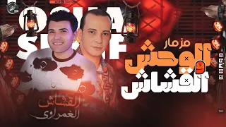 مزمار الوحش والقشاش    بعد عودة الوحش مزمار يجمع القشاش والغمرا        دندنها