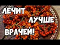 Lagu ВСЕГО НЕСКОЛЬКО ЯГОД ЗАМЕНЯТ ДОРОГИЕ ЛЕКАРСТВА! РЯБИНА КРАСНАЯ- ПОЛЕЗНЫЕ СВОЙСТВА