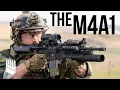 The Deadliest Service Rifle Ever Fielded by The US Military The M4A1