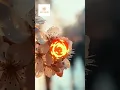 Sunny Asian Spa - Deep massage relax your body and mind