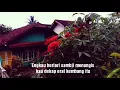Download Lagu Camelia III   ( Ebiet G Ade )