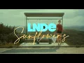 Download Lagu LNDE - Sunflowers (Official Video)