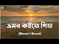 Lagu Bhromor Koio Giya [Slowed+Reverb] - Armeen Musa | Radharaman Dutta | ভ্রমর ক‌ইয়ো গিয়া