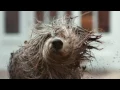 Dulux Easycare TV Ad