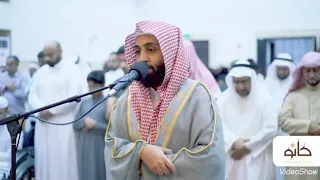 سورة الرحمن للقاريء أحمد حمادي 
