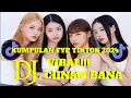Download Lagu DJ CIINAN BANA VIRAL TIKTOK SLOW BASS REMIX TERBARU 2024