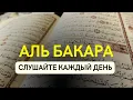 Download Lagu Сура Аль-Бакара включайте в ваших домах каждый день