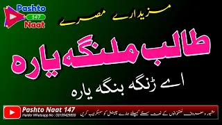                                          طالب ملنګه یاره اے ڑنگہ بنگہ یارہ                دندنها