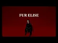 Faouzia - Fur Elise | 1h Loop seamless edit