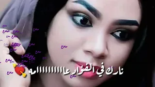سيف ادريس أسباب أذاي أنا الشامه 