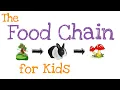 The Food Chain for Kids Producers Consumers and Decomposers
