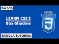 CSS Box-Shadow Property In Bangla Part-16 CSS3 Bangla Tutorial