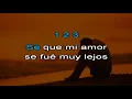 Karaoke Ladron   No tengo lagrimas