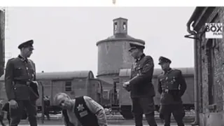 نغمه تركية تن تن يبحث عنها الجميع أجمل نغمه تركية 