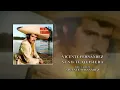 Vicente Fernández - Si No Te Quisiera (Cover Audio)