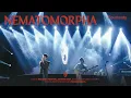 Download Lagu Fourtwnty - Nematomorpha (Live BigBang Jakarta)