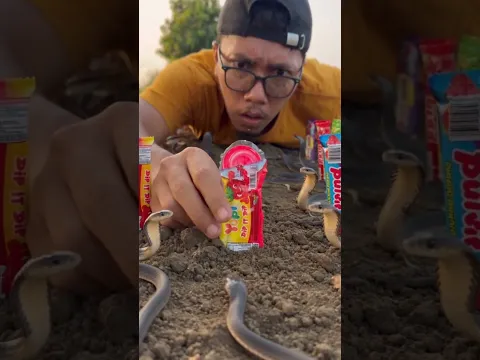 Fall !! sharing dip itdip with ants #shorts