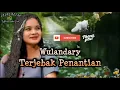 Download Lagu Terjebak Penantian - Wulandary
