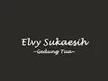 Elvy Sukaesih - Gedung Tua