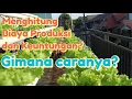 Cara Menghitung Biaya Produksi dan Keuntungan Usaha Hidroponik Skala Industri Rumahan.