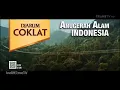 Download Lagu TVC Djarum Coklat Jigne Raisa Ramadhani 2024