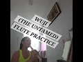 Download Lagu WUJI (THE UNTAMED) FLUTE PRACTICE || Jane Maciejewski