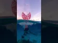 The perfect tail flip doesn t exi -