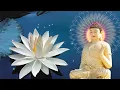 Download Lagu တရုတ် ဓမ္မတေးအိပ်ပီနာထောင်