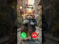 Download Lagu Kaius calling 🤙🏻✨ #ringtone #foryou #cat #calling #cutecat #youtubeshorts #trending #kitten #new #yt