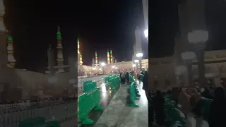 رايحه فين ياحاجه رايحه أزور النبى محمد 