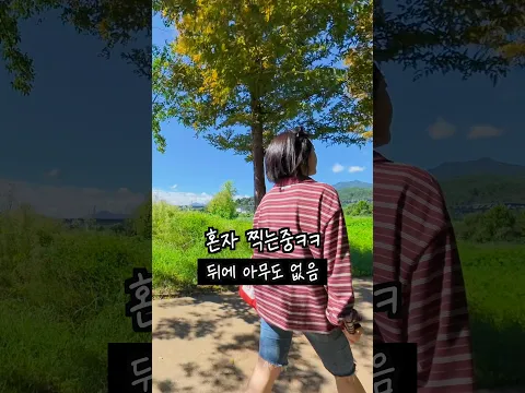 어쩌면 가장 쉬운 브이로그 카메라! 오즈모 360 II (DJI OSMO 360 2세대)