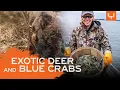 MeatEater Season 8 Hunting Sika Deer Trotlining for Blue Crabs
