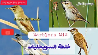 موسم الدخل  خلطة السويحليات                 دندنها