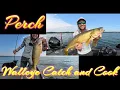Green Bay Perch and Walleye Catch and Cook - Not Deep Fried