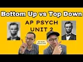 Bottom-Up vs Top-Down Processing Explained AP Psychology Unit 2