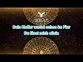 Ich liebe das Leben - Vicky Leandros (Karaoke Version)