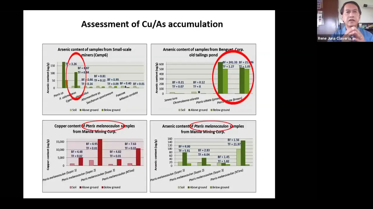 Dr. Rene Juna Claveria: Recovering Copper and Arsenic from Hyperaccumulator Ferns: Phytomining