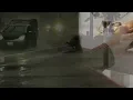 イルカ　雨の物語　名曲フォークソング 1977