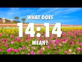 What Does Angel Number 1414 Mean