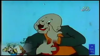 الجوز الخيل و العربية 