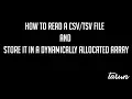 How to read a file into a 2D dynamic array