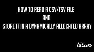 How to read a file into a 2D dynamic array