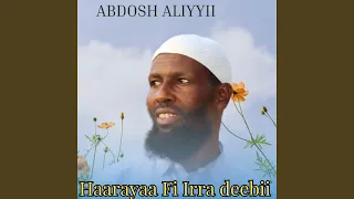 Abdosh Aliyyi Nashiidaa Irra Walii Nugalchi 