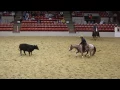 Houston Rodeo Professional Cutting Horse Competition