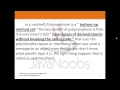 Object Oriented Programming - Q 03 Polymorphism